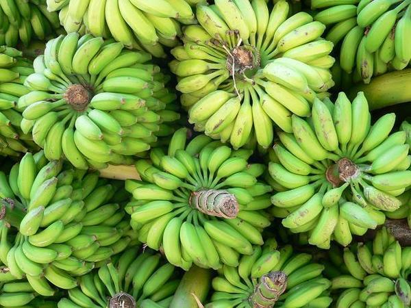 Banana close-up