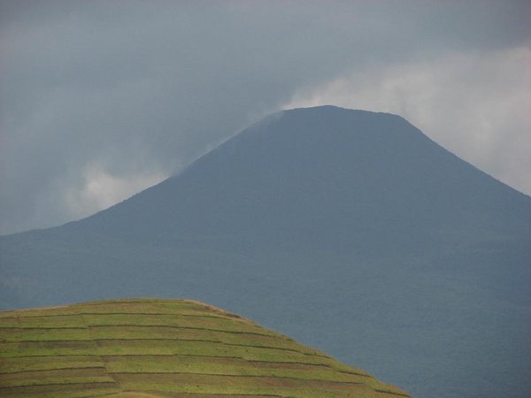 Mt Mgahinga
