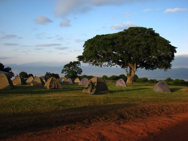 Simba A campsite