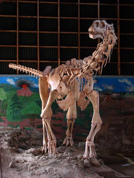 Malawisaurus reconstruction