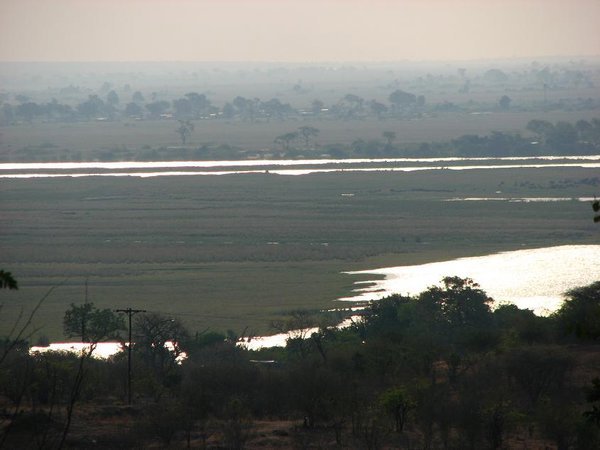 Chobe river