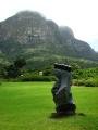 Sculpture and Table Mountain