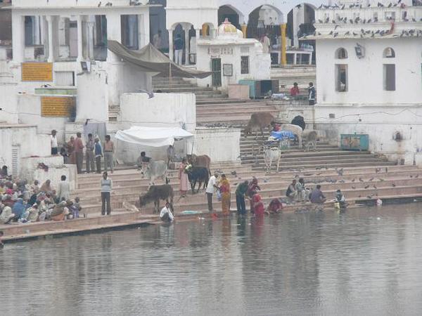 Pushkar ghat