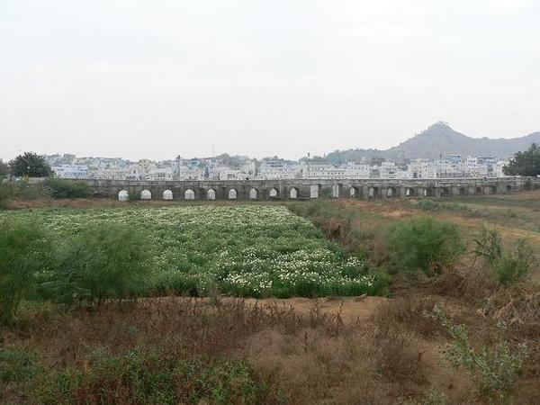 Pushkar bridge
