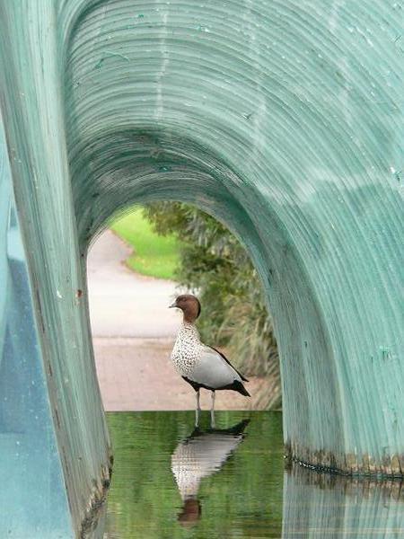 Duck in sculpture