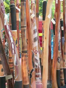Didgeridoo forest