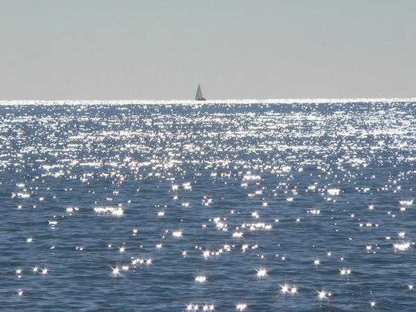 Sparkling Sea Photo