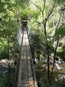 Suspension bridge near Beedelup Falls
