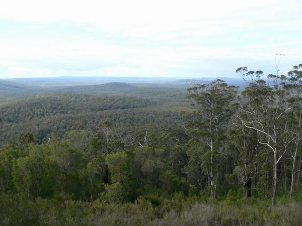 View from half way up Mount Frankland