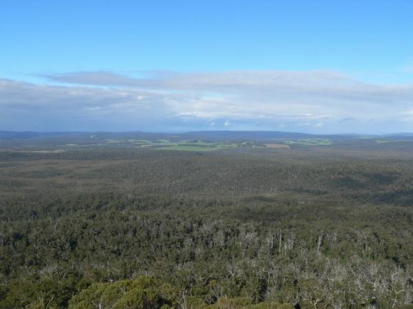 View from Mount Frankland