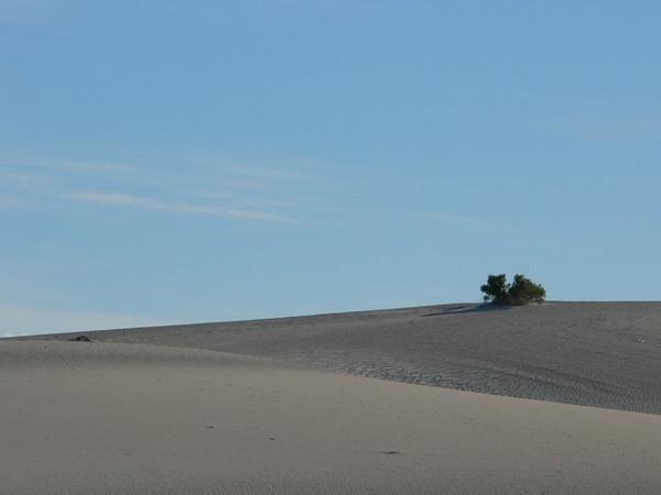 Dunes on the way to the Pinnacles
