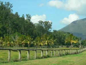 The approach to Gordonvale
