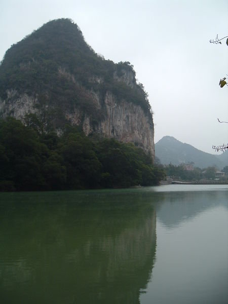 A mountain surrounded by bamboo groves