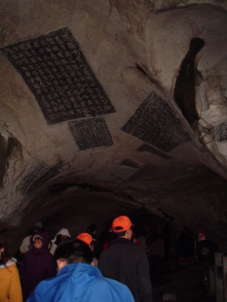 Crowds in the Caves