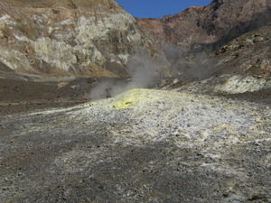 Yet another Fumarole