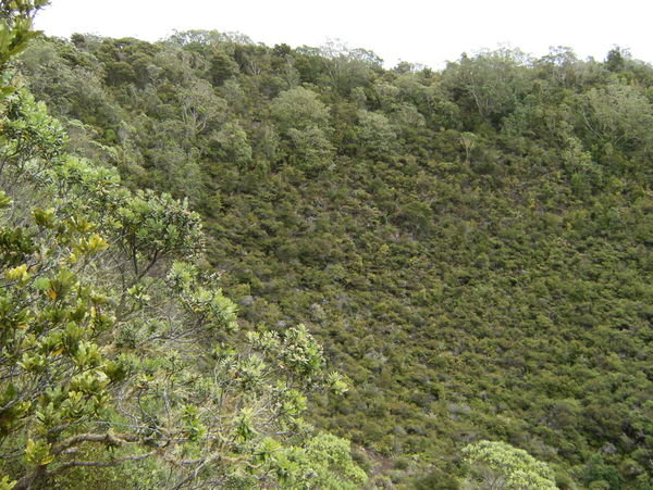 Left side of Crater and Rim