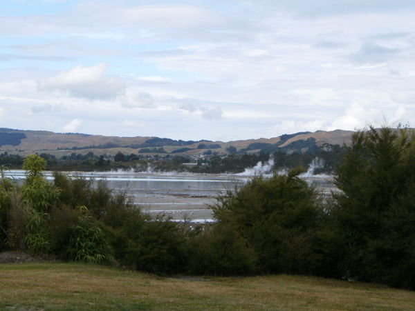 Geothermal Activity on Lake Rotorua