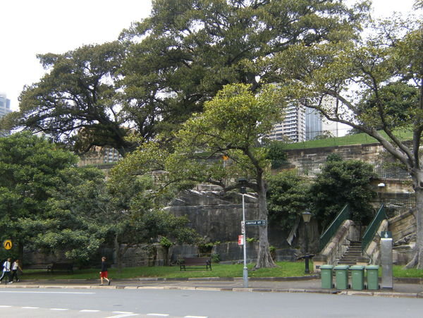 Sydney Observatory (lower grounds)