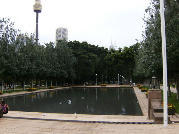 Hyde Park Cement Pond