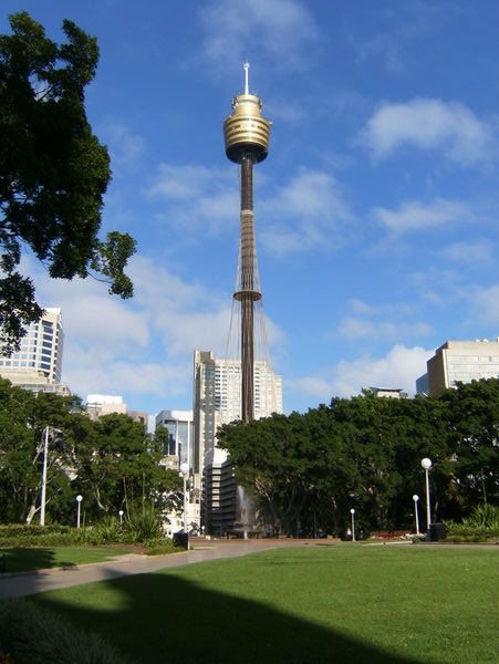 Sydney Tower from Hyde Park