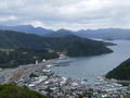 Picton and its Harbour