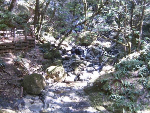 Wide section of creek