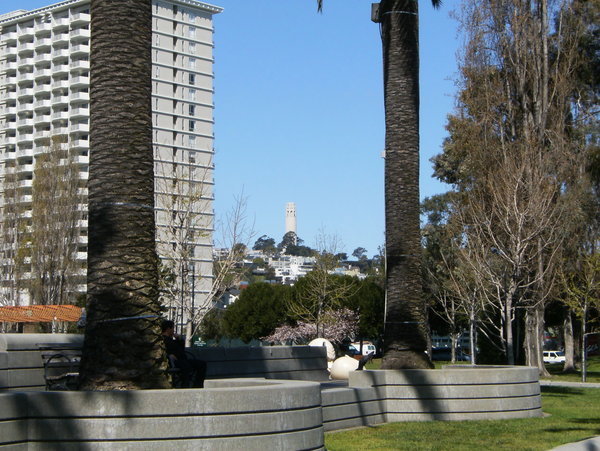 Telegraph Hill and Coit Tower in the distance