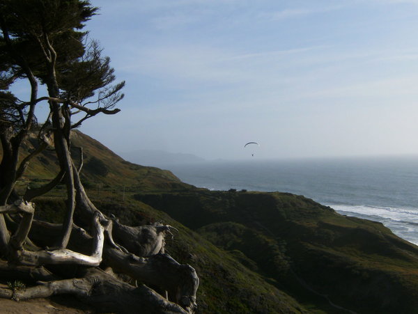 Paraglider and Pacific