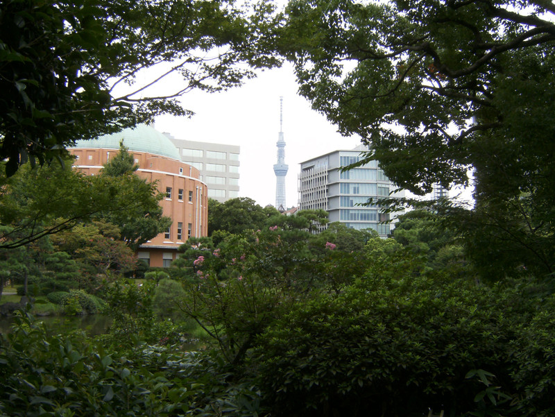 Tokyo Sky Tree in the distance