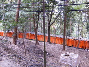 View from outside the Torii Gated path