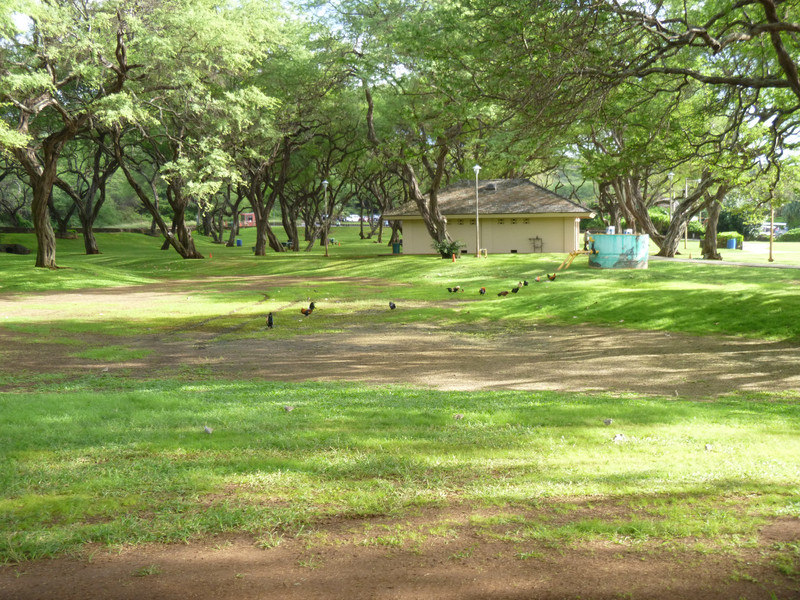 Park within the Preserve