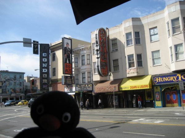 Pingu finds the 'tempting'area of San Fran
