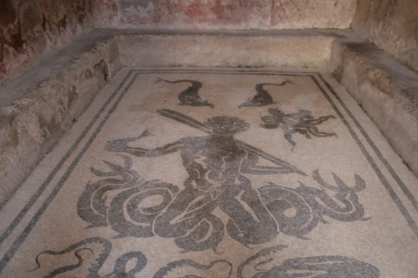 The mosaic floor of the apodyterium in the Terme femminili