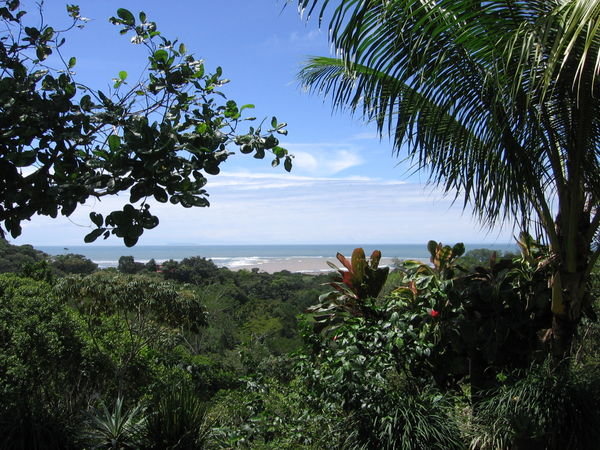 View to Playa Tortuga