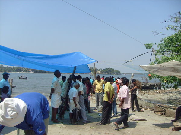 A Fish auction on Fort Cochin beach