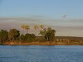 View of the Zambezi River