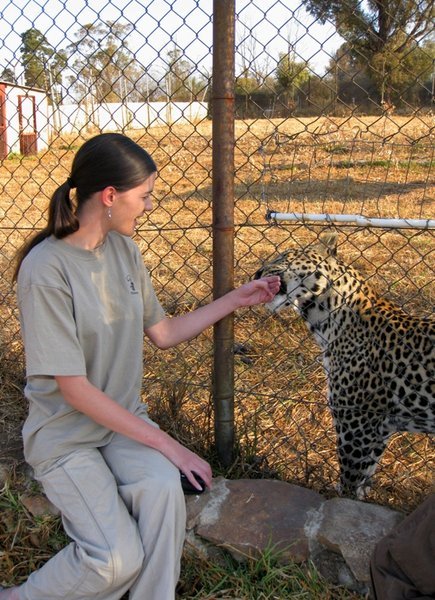 Licked by a leopard!