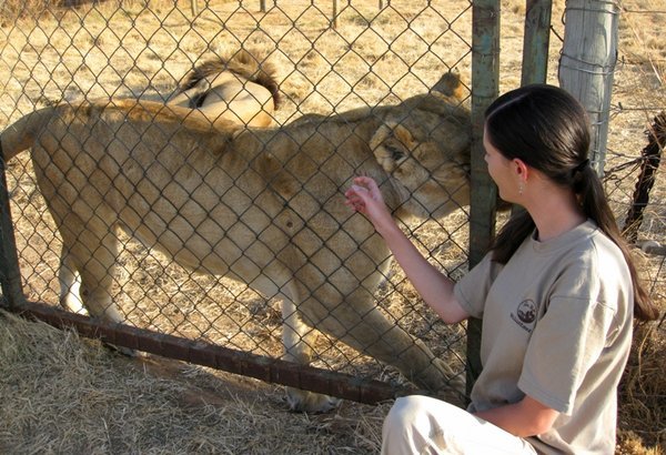 Me with Rain the lioness