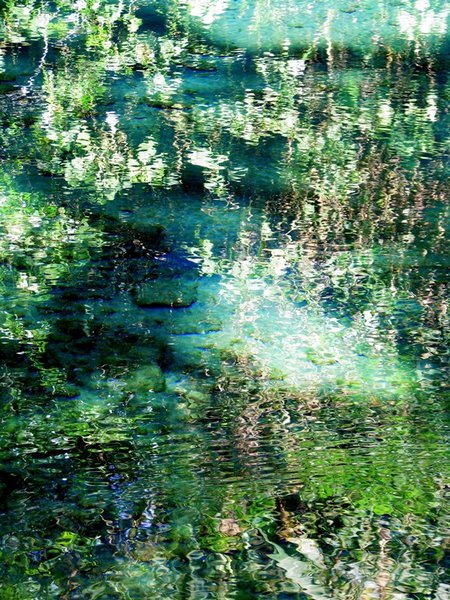 Monet-like reflections