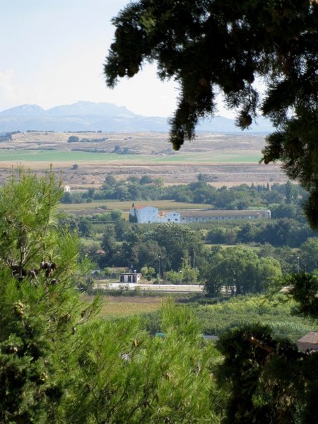 View of surrounding farmland