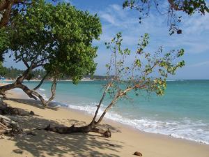 beautiful Sri Lankan shore