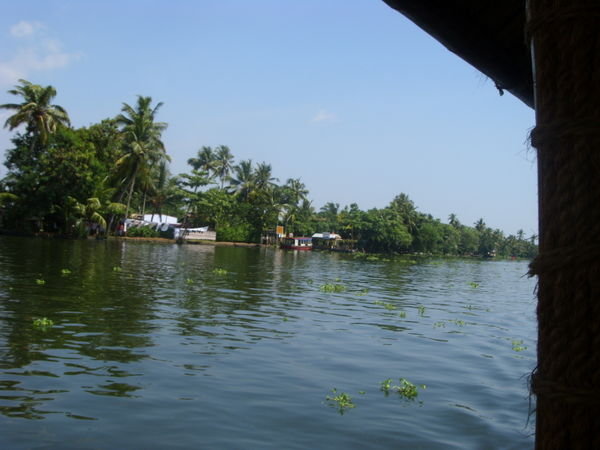 Cruising the backwaters