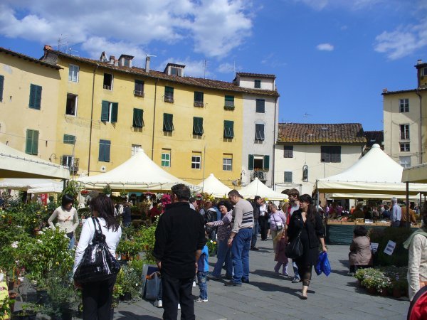 Lucca Ampitheatre