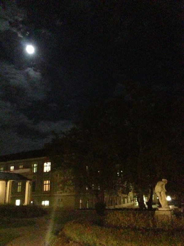 Mooning statue mooning the Moon