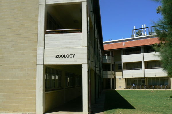 I found the Zoology building