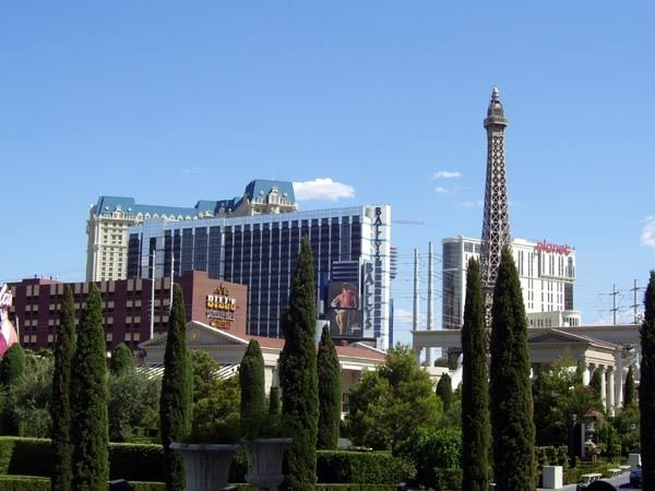 Vegas scene