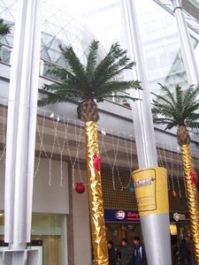 Festive palms