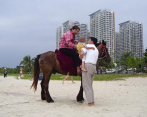 Horse ride on beach