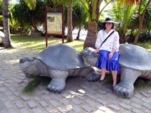 Nancy and turtles