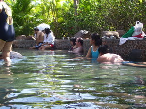 Fish Therapy Pool